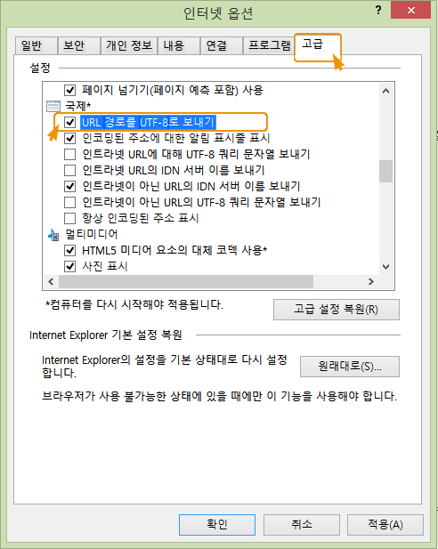 인터넷 옵션 예제